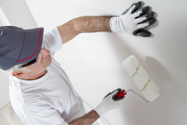 Best Residential Mold Inspection & Testing  in Vail, AZ