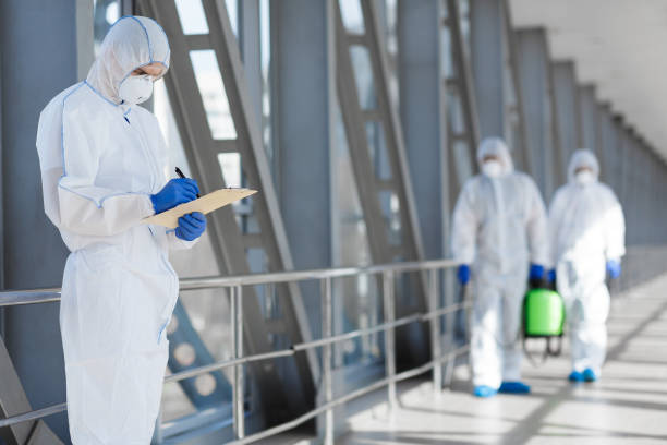 Mold Removal for HVAC Installations in Vail, AZ
