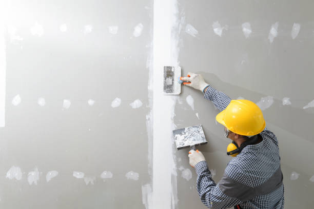 Best Mold Odor Removal Services  in Vail, AZ