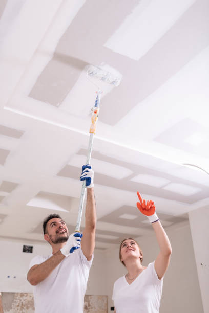 Best Mold Damage Restoration  in Vail, AZ