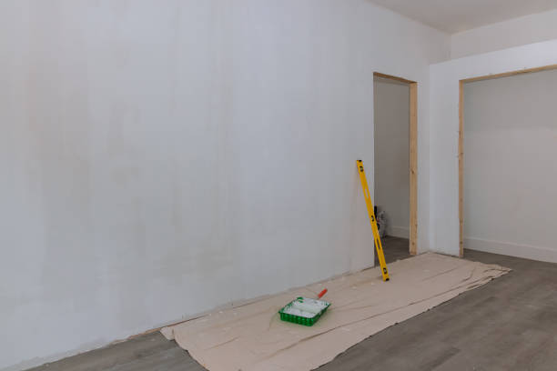 Best Forensic Mold Investigation  in Vail, AZ