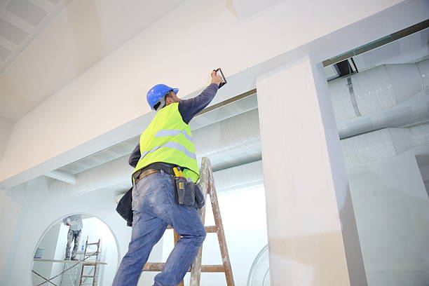Best Environmental Consulting for Mold Prevention  in Vail, AZ