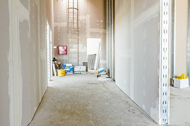 Best Air Quality Testing for Mold Spores  in Vail, AZ